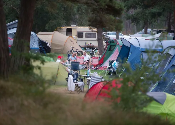 Dueodde Camping *