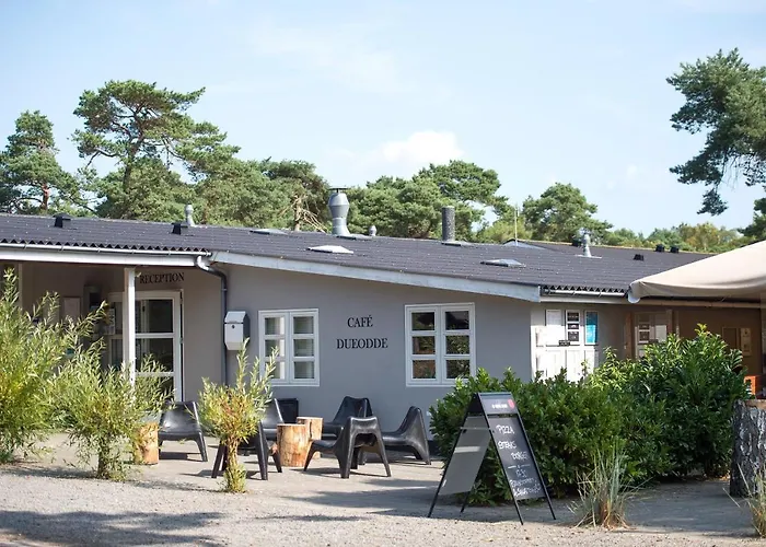 캠프장 Dueodde Camping