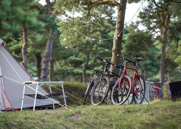 캠프장 Dueodde Camping *