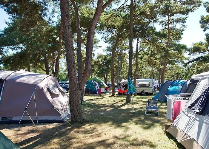 캠프장 Dueodde Camping