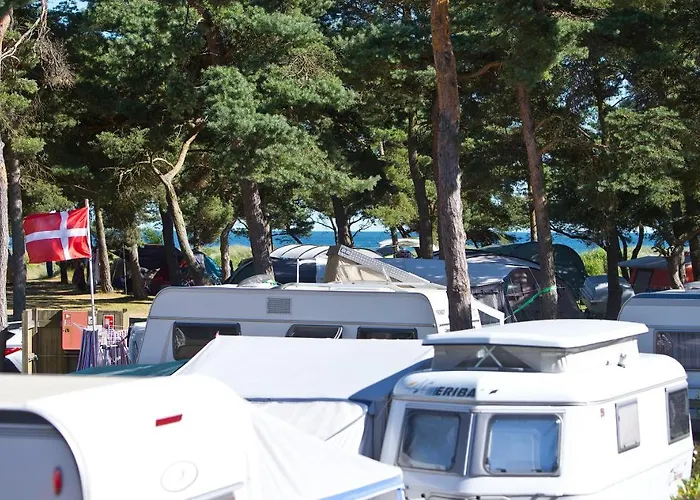 캠프장 Dueodde Camping